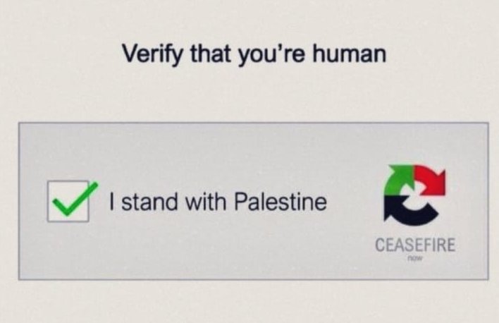 screenshot of a captcha which reads 'i stand with palestine' next to the check-box